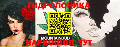 PSILOCYBIN Будённовск