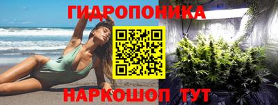 PSILOCYBIN Будённовск