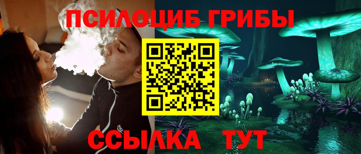 Псилоцибиновые грибы Cubensis Свободный