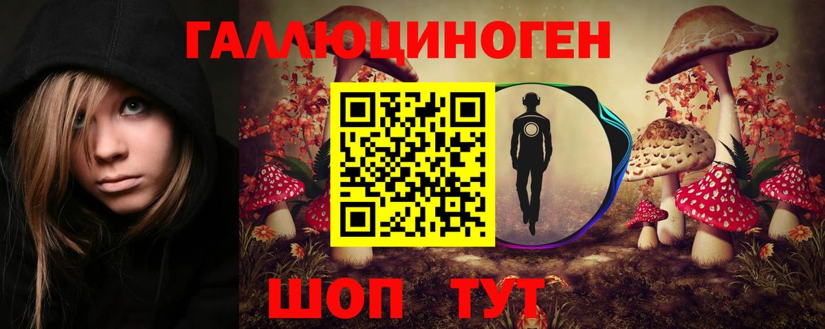 Галлюциногенные грибы Psilocybine cubensis  Вход с VPN  Свободный 